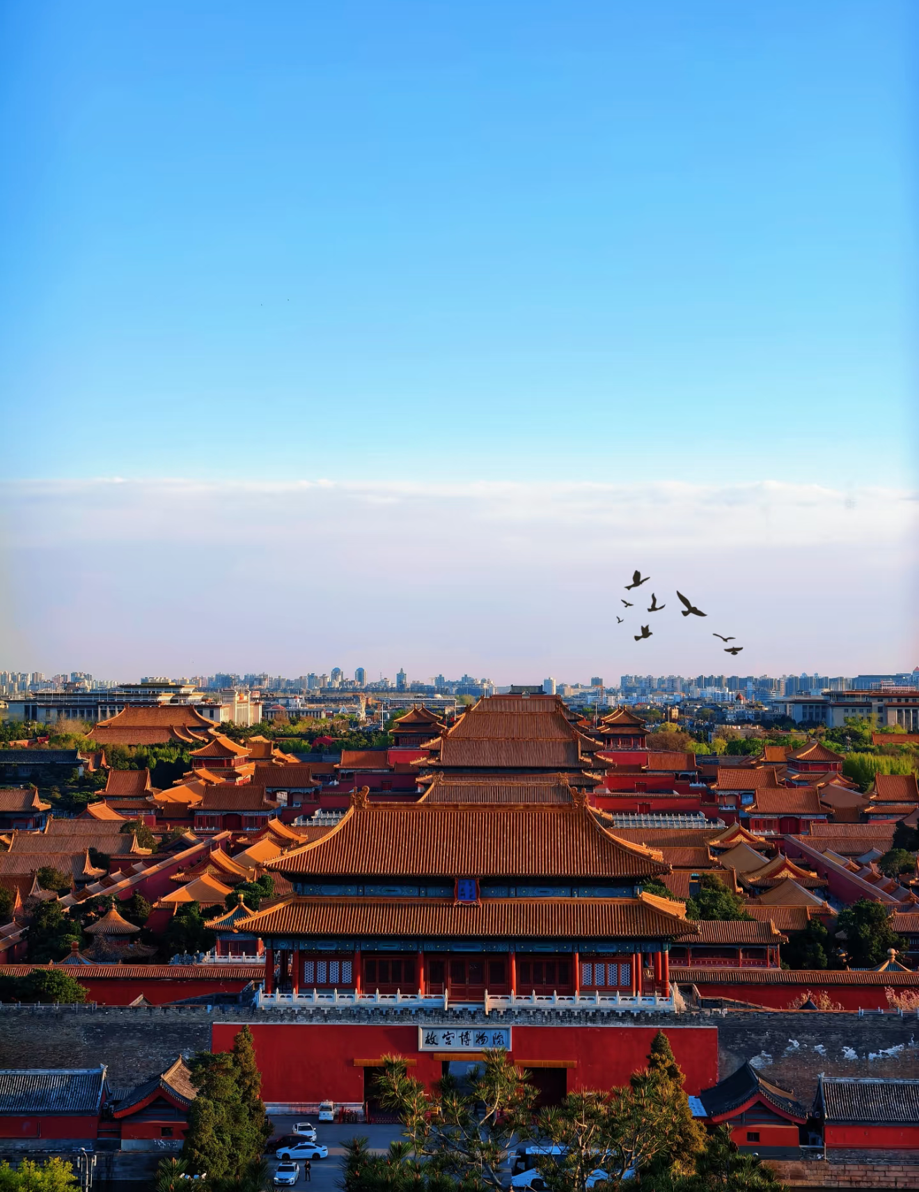 1 Day – The Forbidden City & Central Axis Cycling Tour: From Imperial Palace to Hutong Lanes