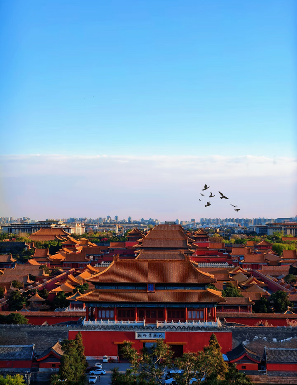1 Day – The Forbidden City & Central Axis Cycling Tour: From Imperial Palace to Hutong Lanes