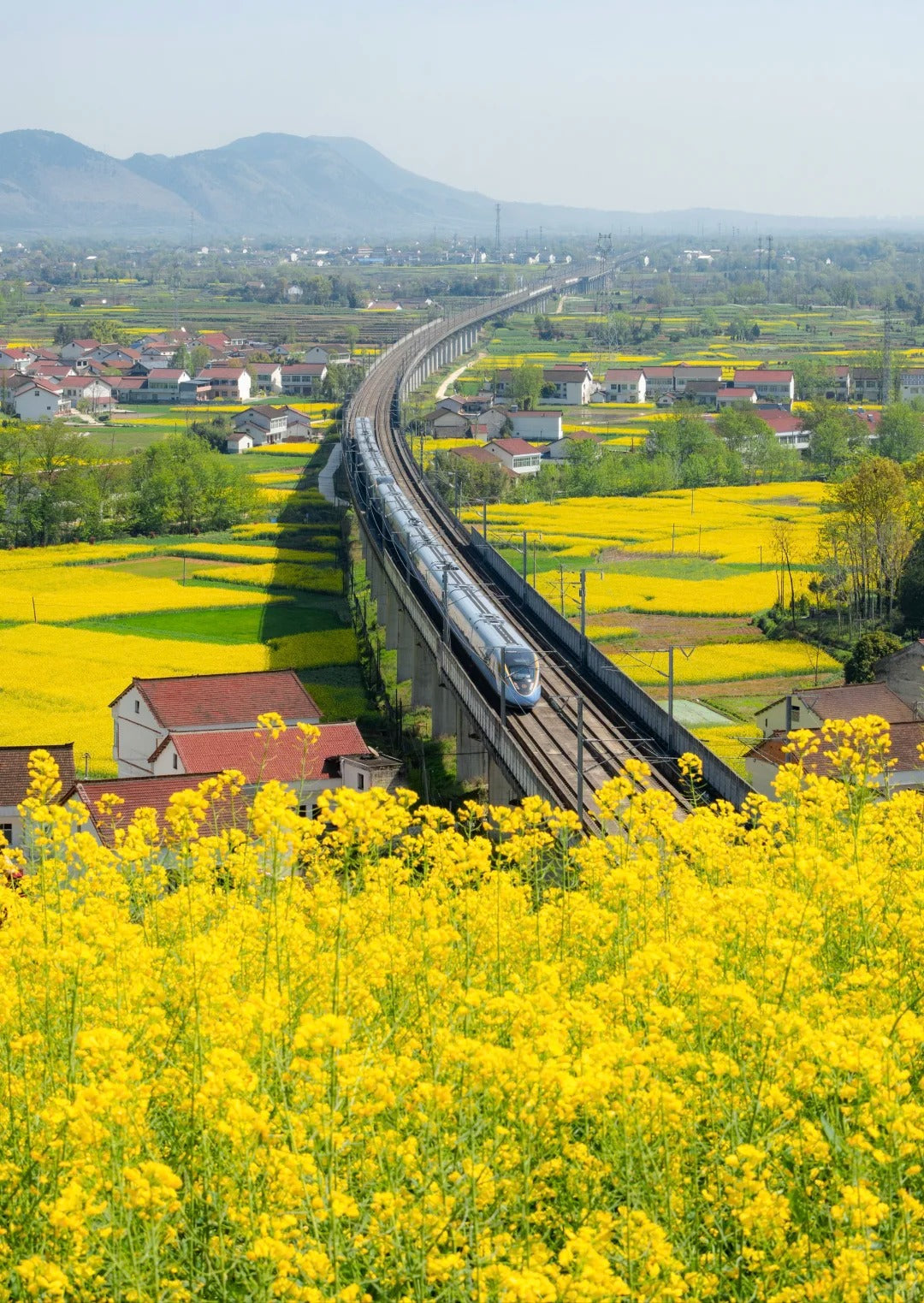 6 Days 5 Nights Hanzhong Taoist Retreat & Panda Experience – Foping · Hanzhong · Mianxian County