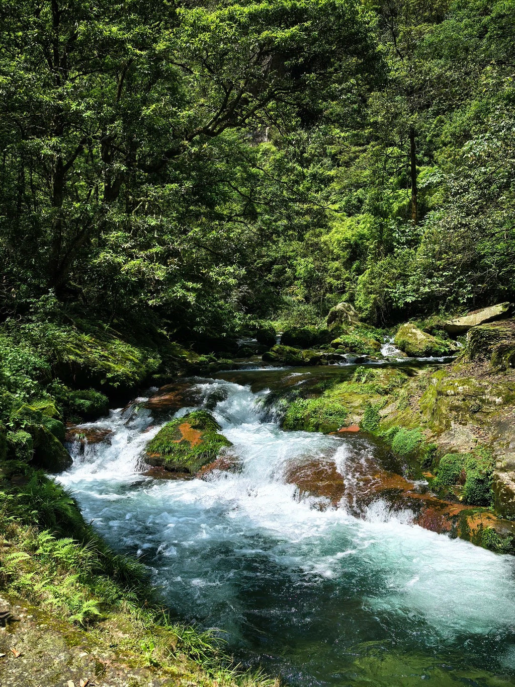 5 Days 4 Nights Zhangjiajie Peaks, Glass Bridges & Tujia Culture