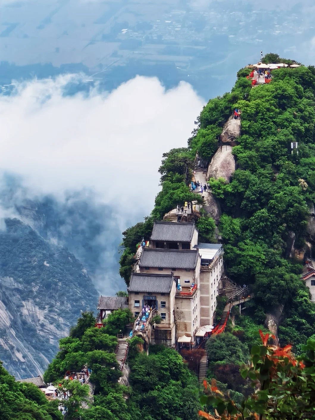 South of Qinling: Panda Experience & Mount Huashan View