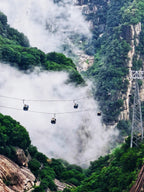 South of Qinling: Panda Experience & Mount Huashan View