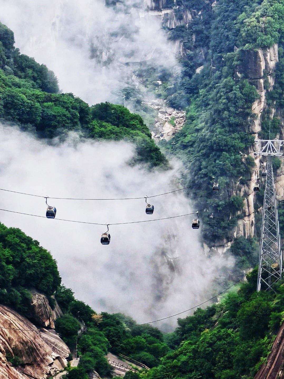 South of Qinling: Panda Experience & Mount Huashan View
