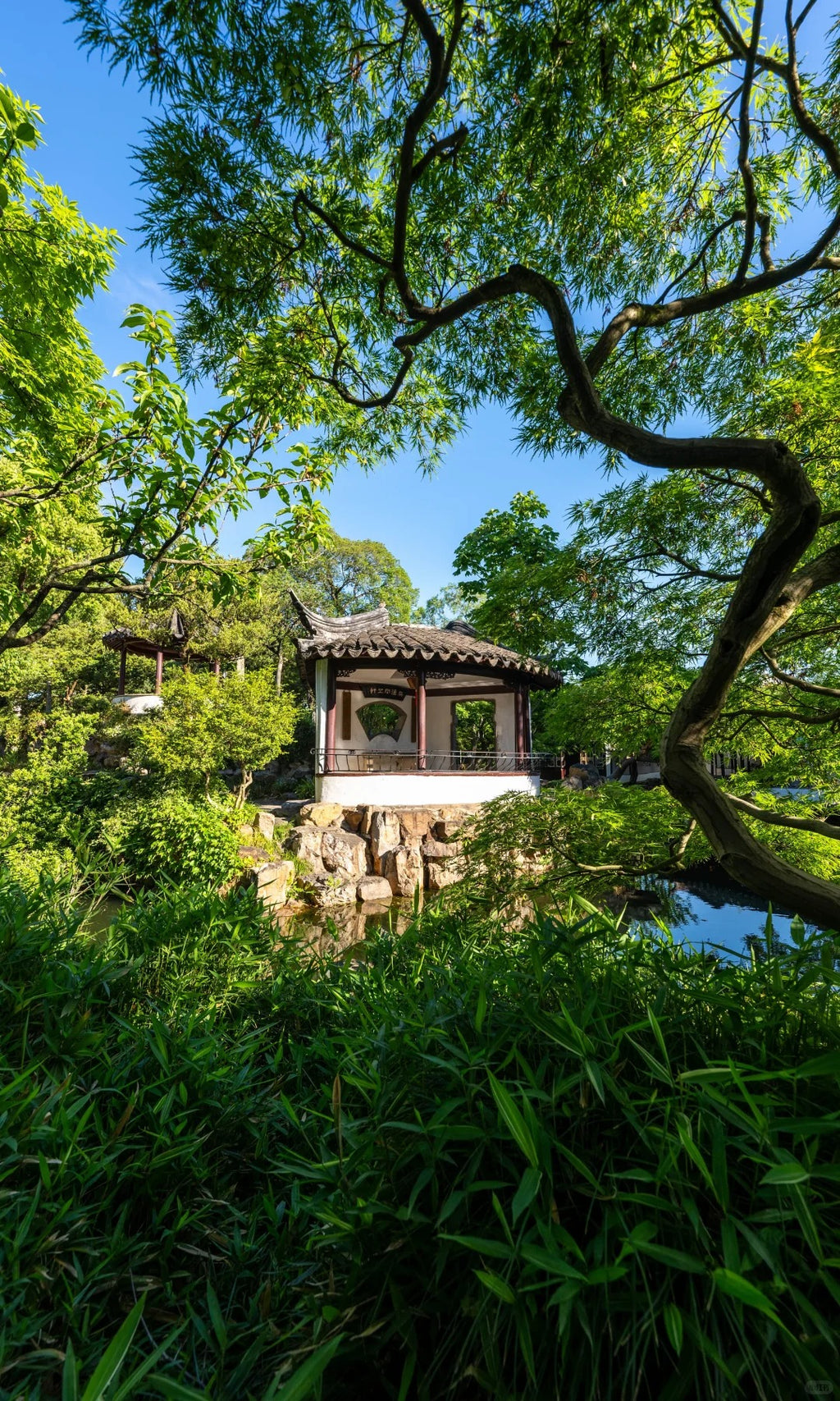 Jiangnan Culture Tour