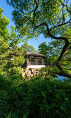 Jiangnan Culture Tour