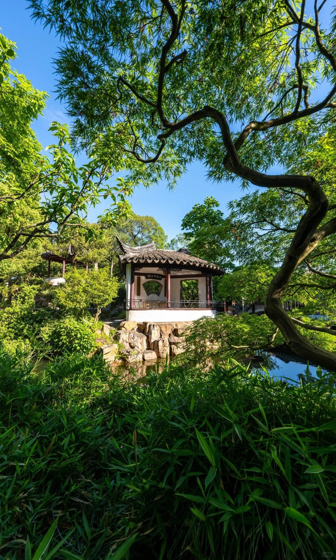 Jiangnan Culture Tour