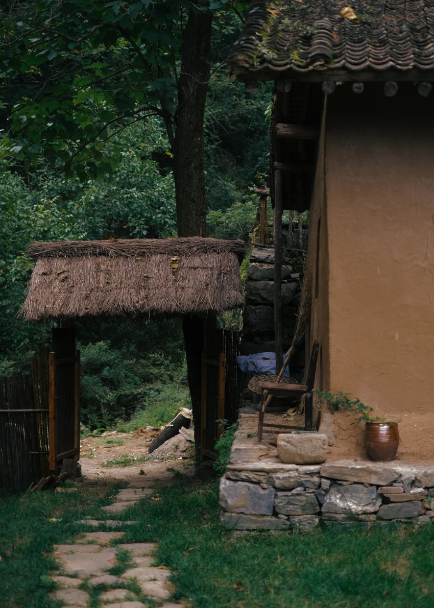 Zhongnan Mountain Zen Meditation Retreat Journey