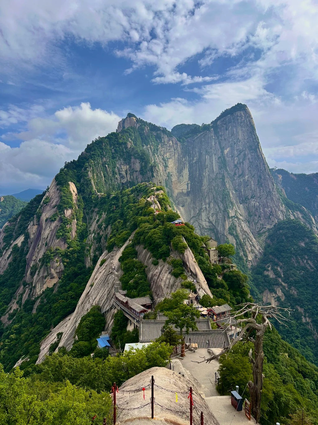 South of Qinling: Panda Experience & Mount Huashan View