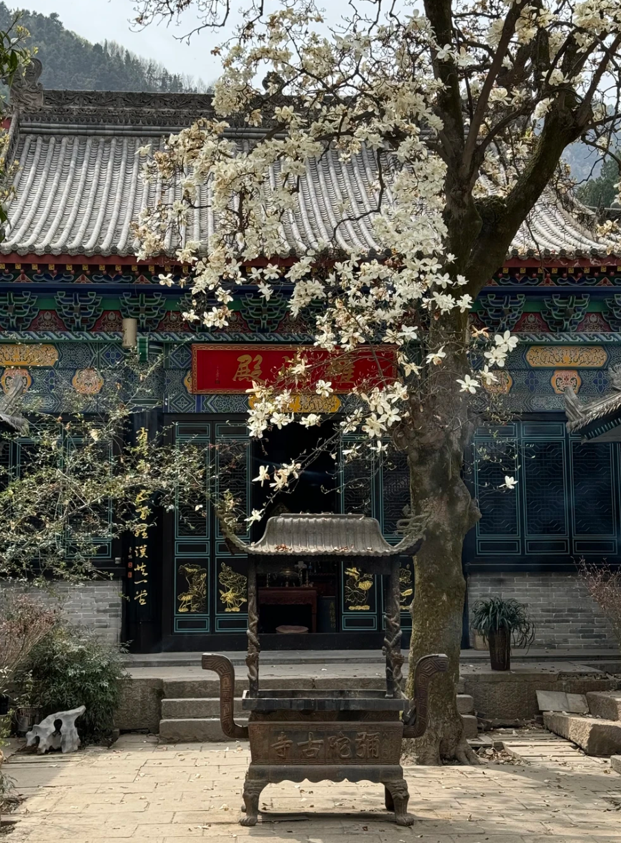 Zhongnan Mountain Zen Meditation Retreat Journey