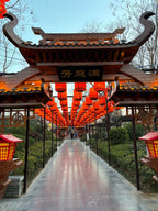 Exploring the Key to Chinese Civilization Tour｜5 Nights 6 Days – Luoyang · Kaifeng · Anyang