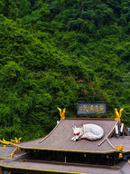 5 Days 4 Nights Zhangjiajie Peaks, Glass Bridges & Tujia Culture