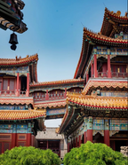 1-Day Beijing: Summer Palace & Yonghe Lama Temple