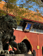 1-Day Beijing: Summer Palace & Yonghe Lama Temple