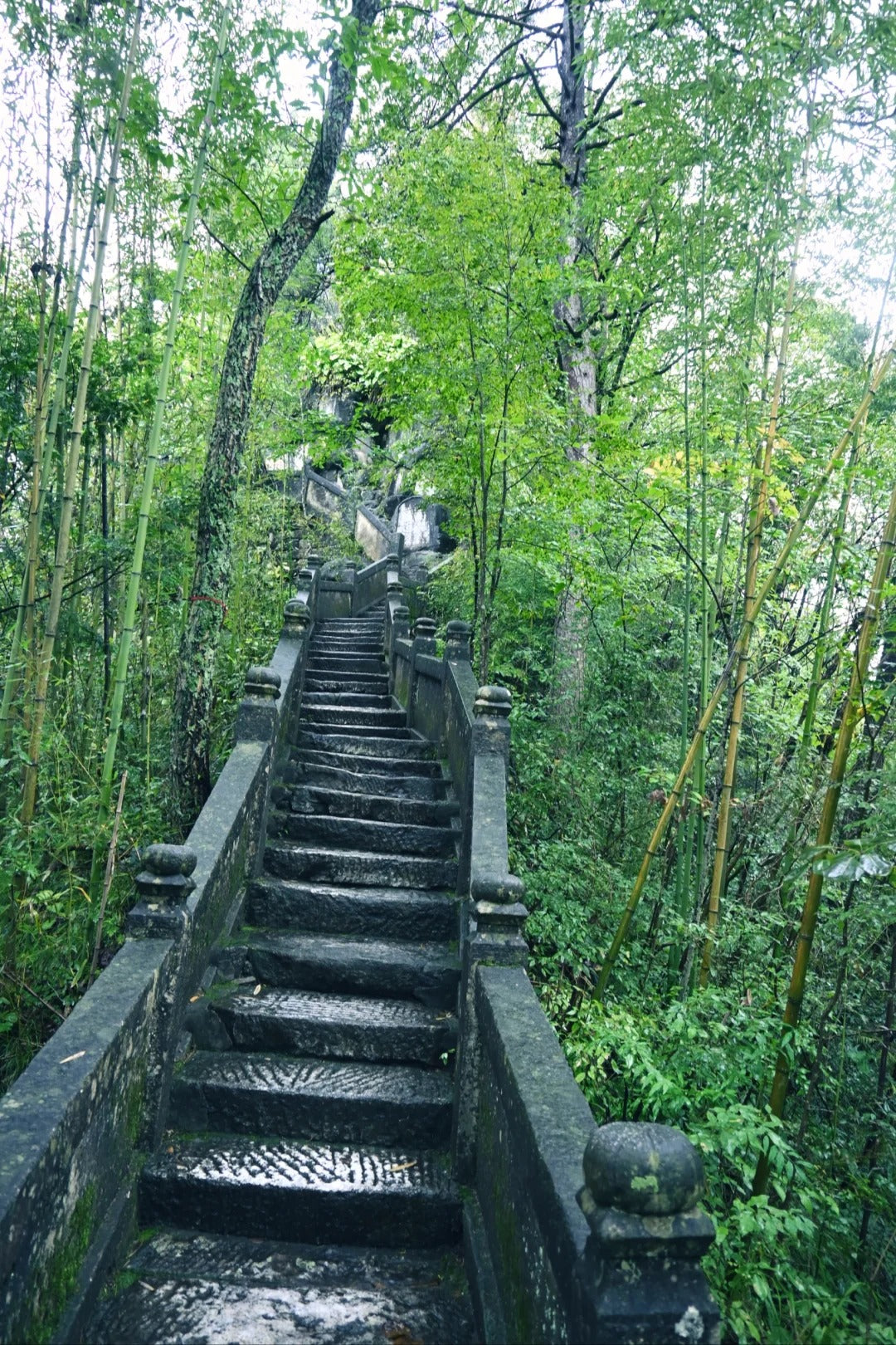 3 Days 2 Nights – Zhangliang Temple Taoist Retreat
