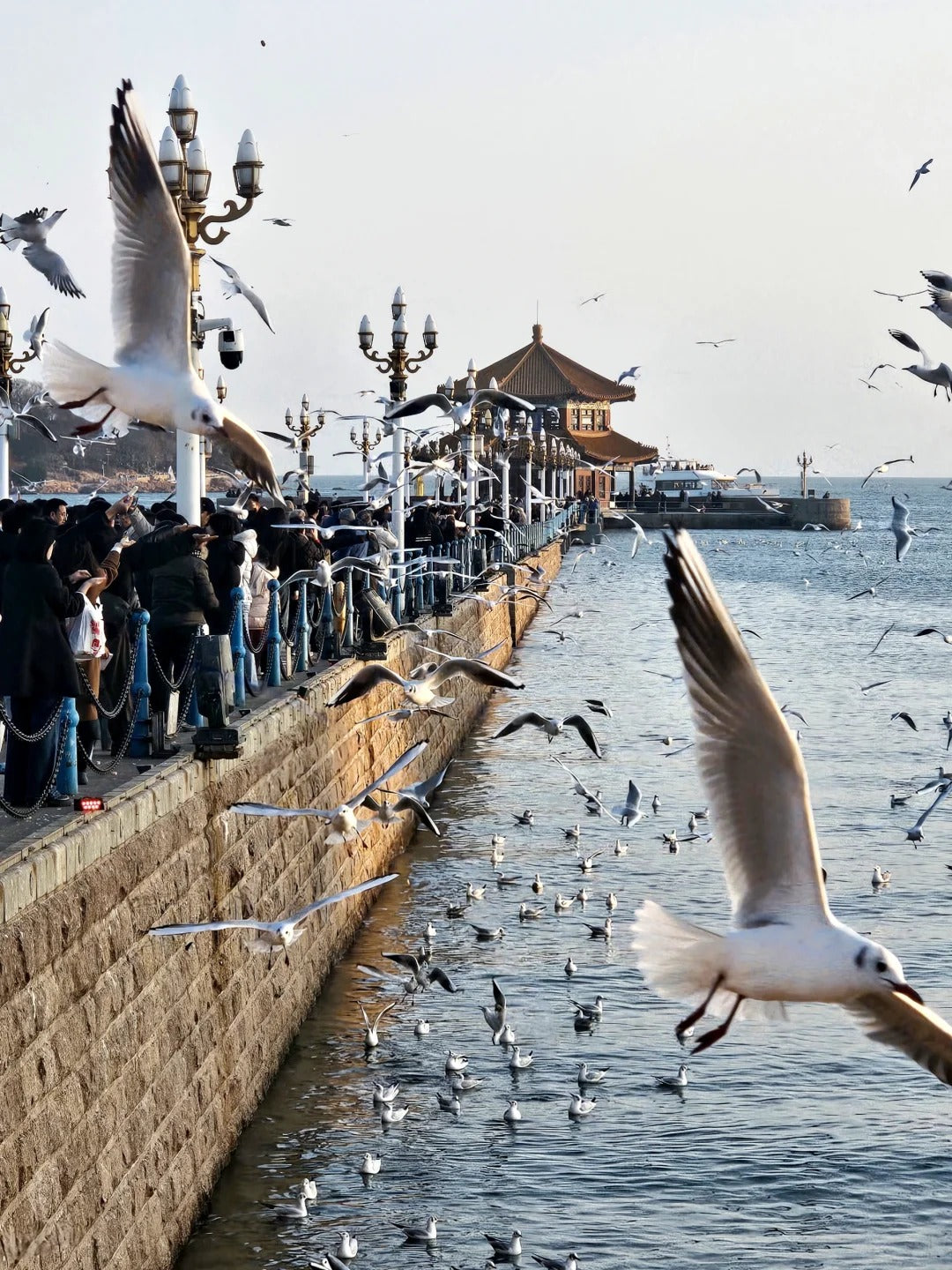 3 Days 2 Nights Qingdao Coastal Charm & Beer Heritage