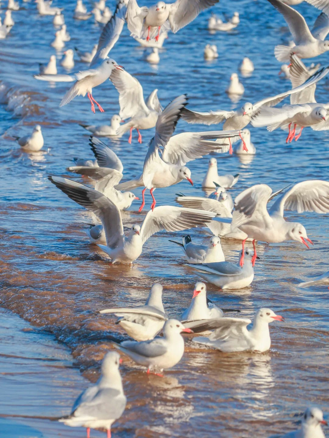 3 Days 2 Nights Qingdao Coastal Charm & Beer Heritage