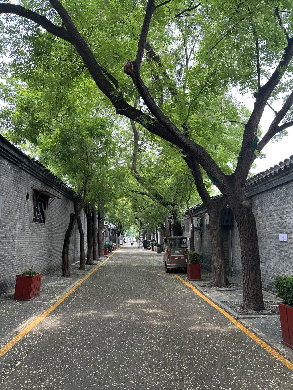 Beijing Day Tour-Forbidden City, Jingshan Park & Hutong Museum