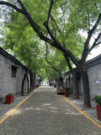Beijing Day Tour-Forbidden City, Jingshan Park & Hutong Museum