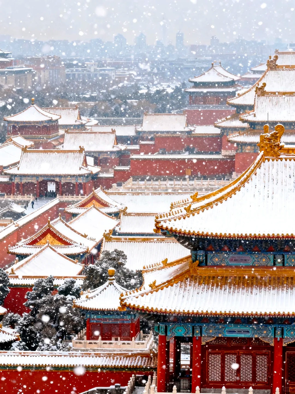 Beijing Day Tour - Forbidden City, Jingshan View & Craft Experience