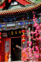 South of Qinling: Panda Experience & Mount Huashan View