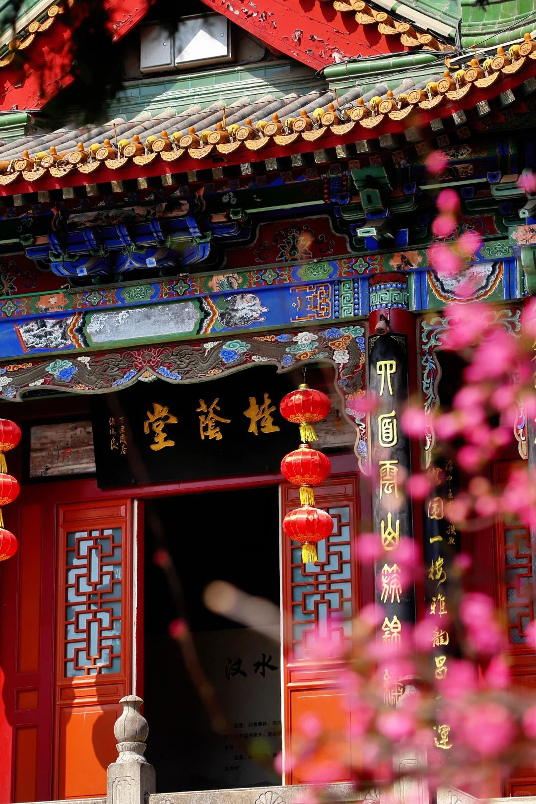 South of Qinling: Panda Experience & Mount Huashan View