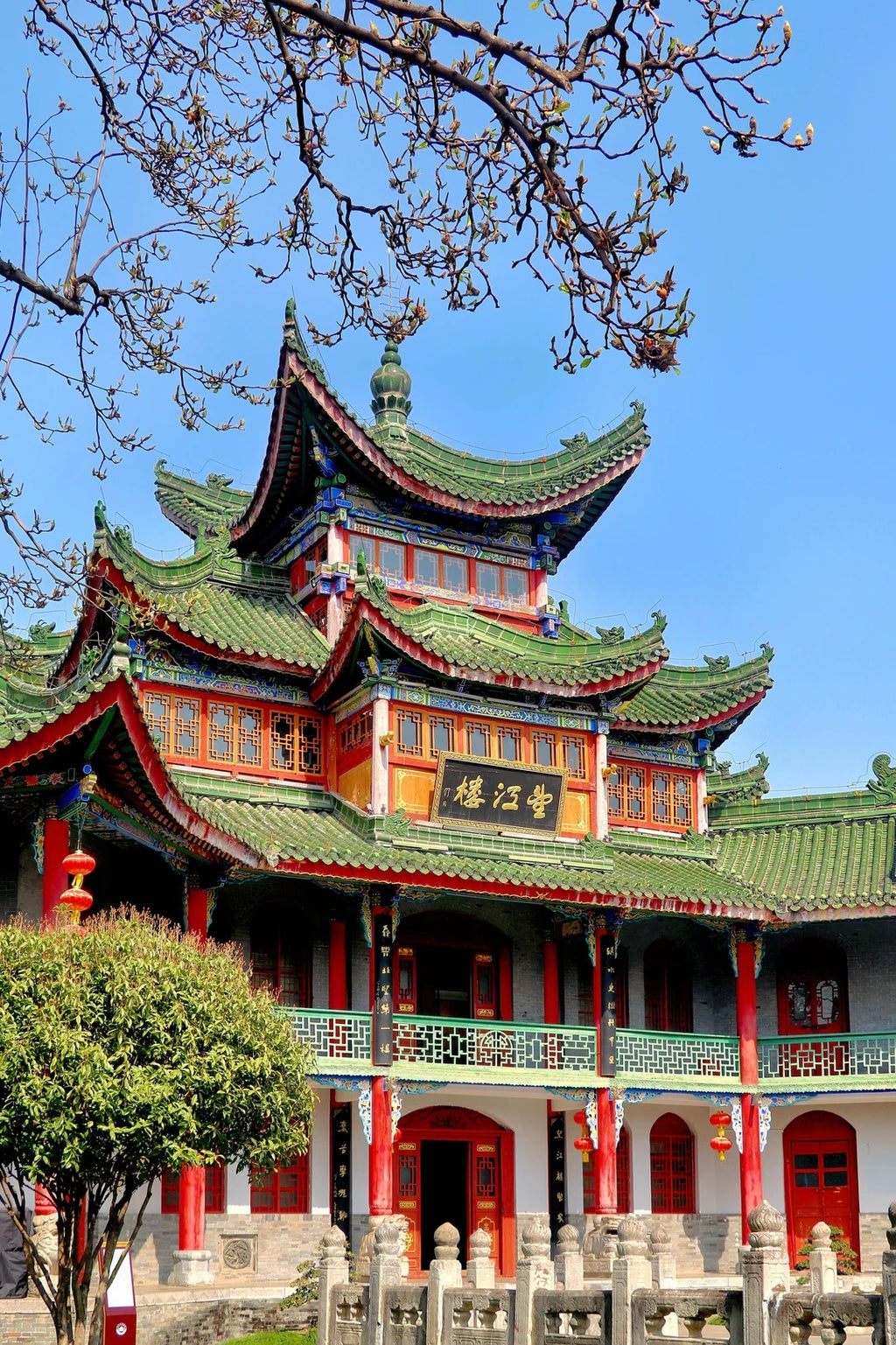 South of Qinling: Panda Experience & Mount Huashan View