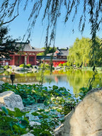4 Days 3 Nights Xi’an Tour – Terracotta Warriors, Mt. Huashan & City Culture