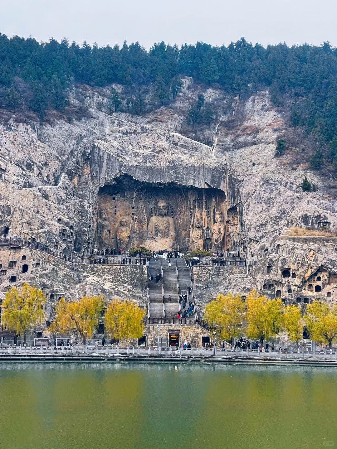5 Days 4 Nights Luoyang Intangible Heritage & Cultural Immersion Tour