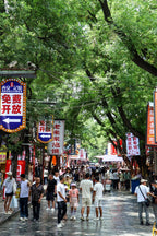 4 Days 3 Nights Xi’an Tour – Terracotta Warriors, Mt. Huashan & City Culture