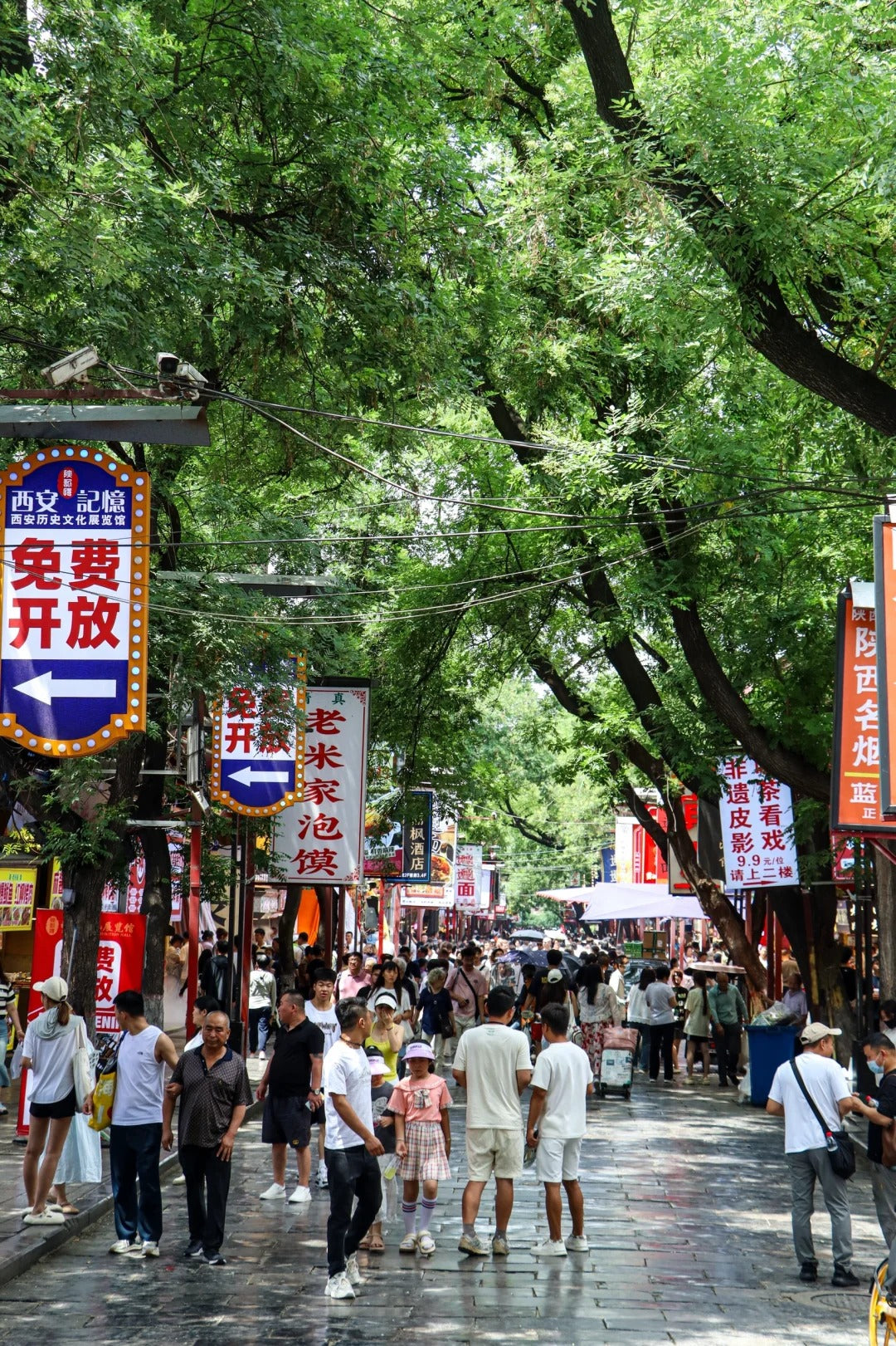 4 Days 3 Nights Xi’an Tour – Terracotta Warriors, Mt. Huashan & City Culture