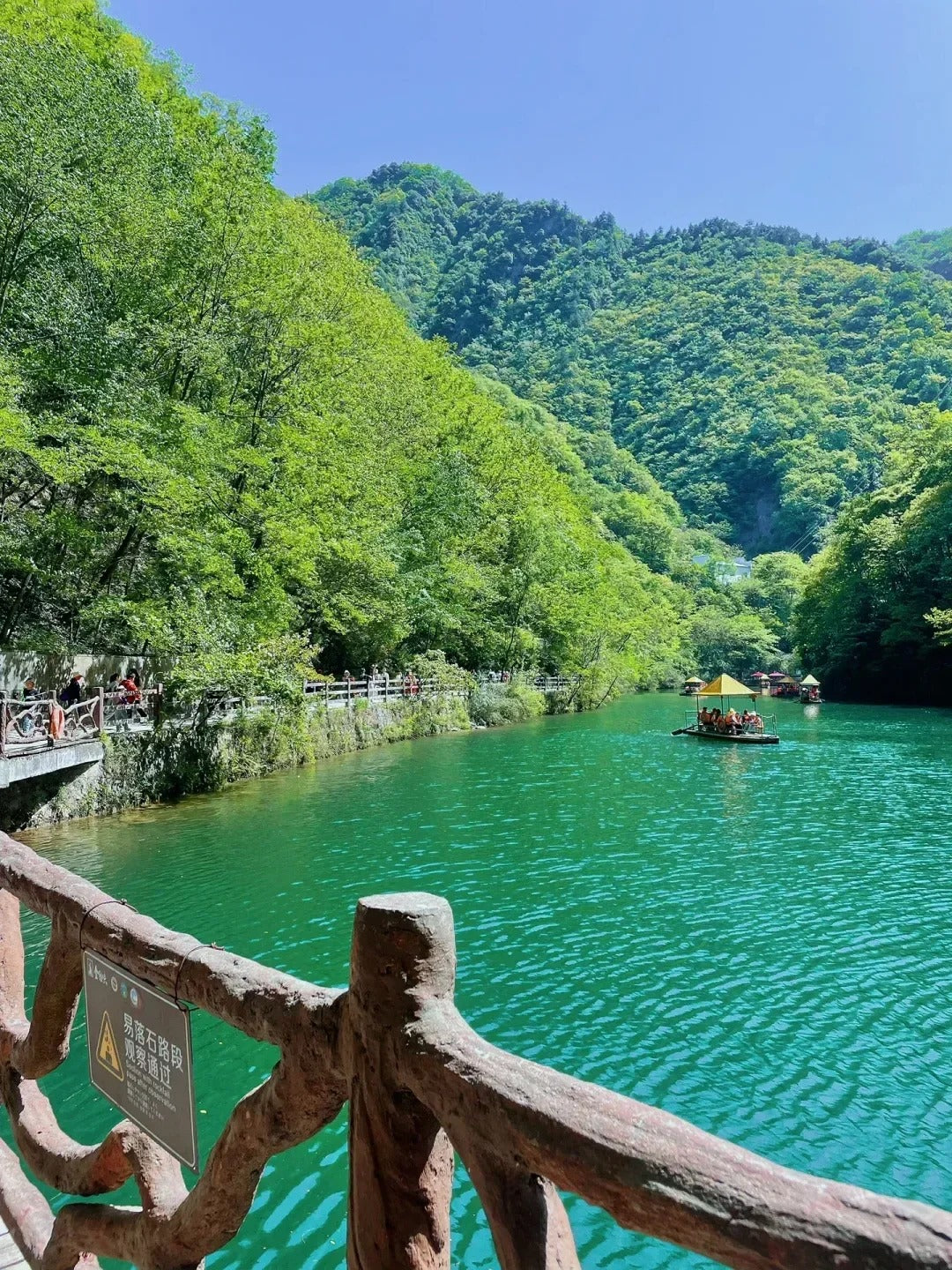 South of Qinling: Panda Experience & Mount Huashan View