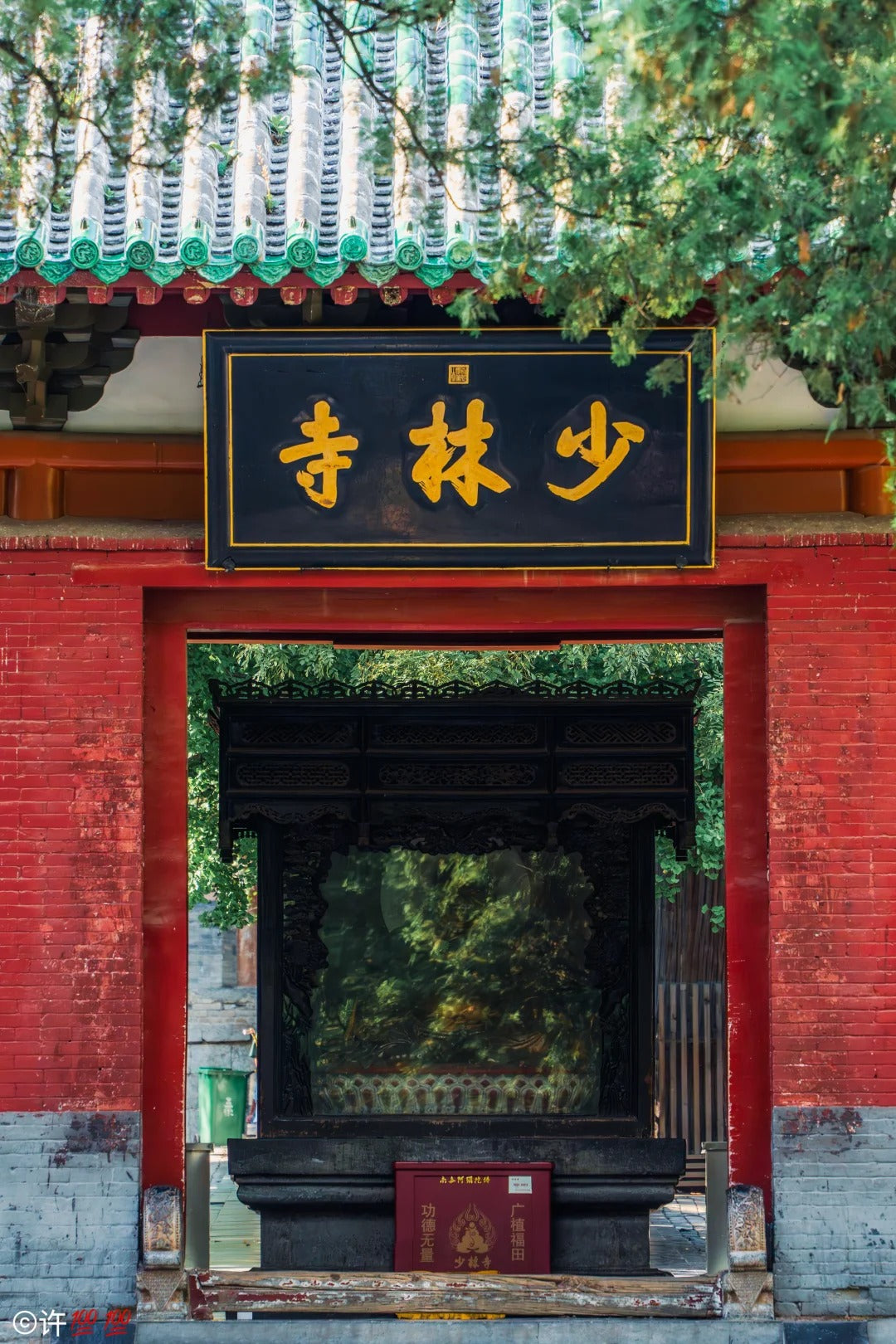 5 Days 4 Nights Luoyang Intangible Heritage & Cultural Immersion Tour