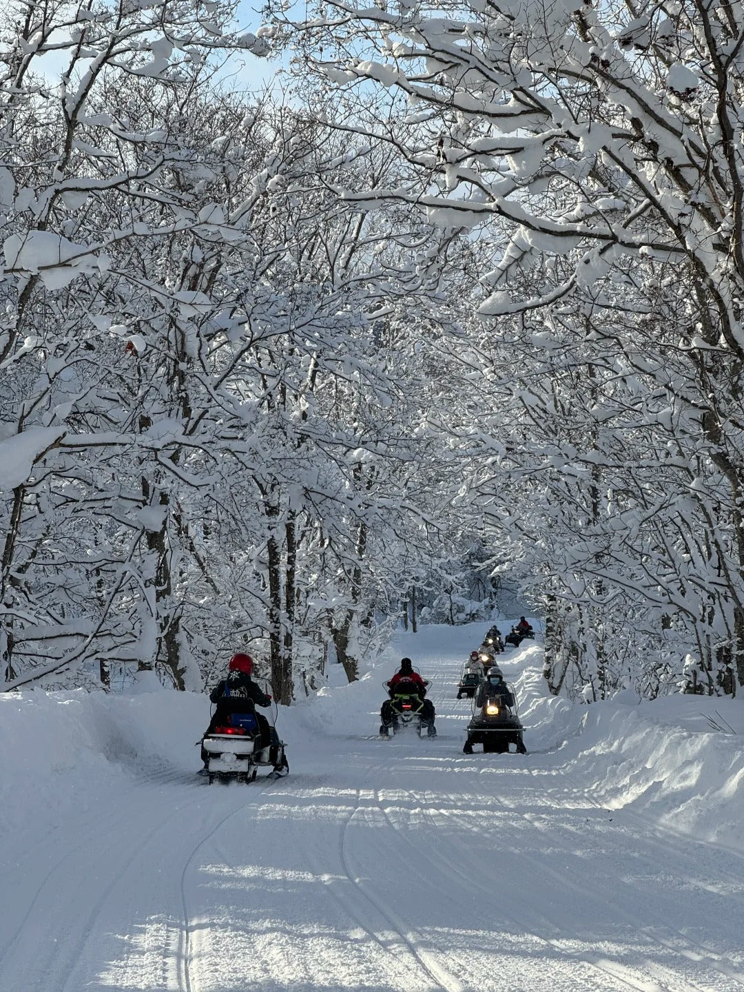 5 Days 4 Nights Harbin Winter Magic & Yabuli Snow Adventure