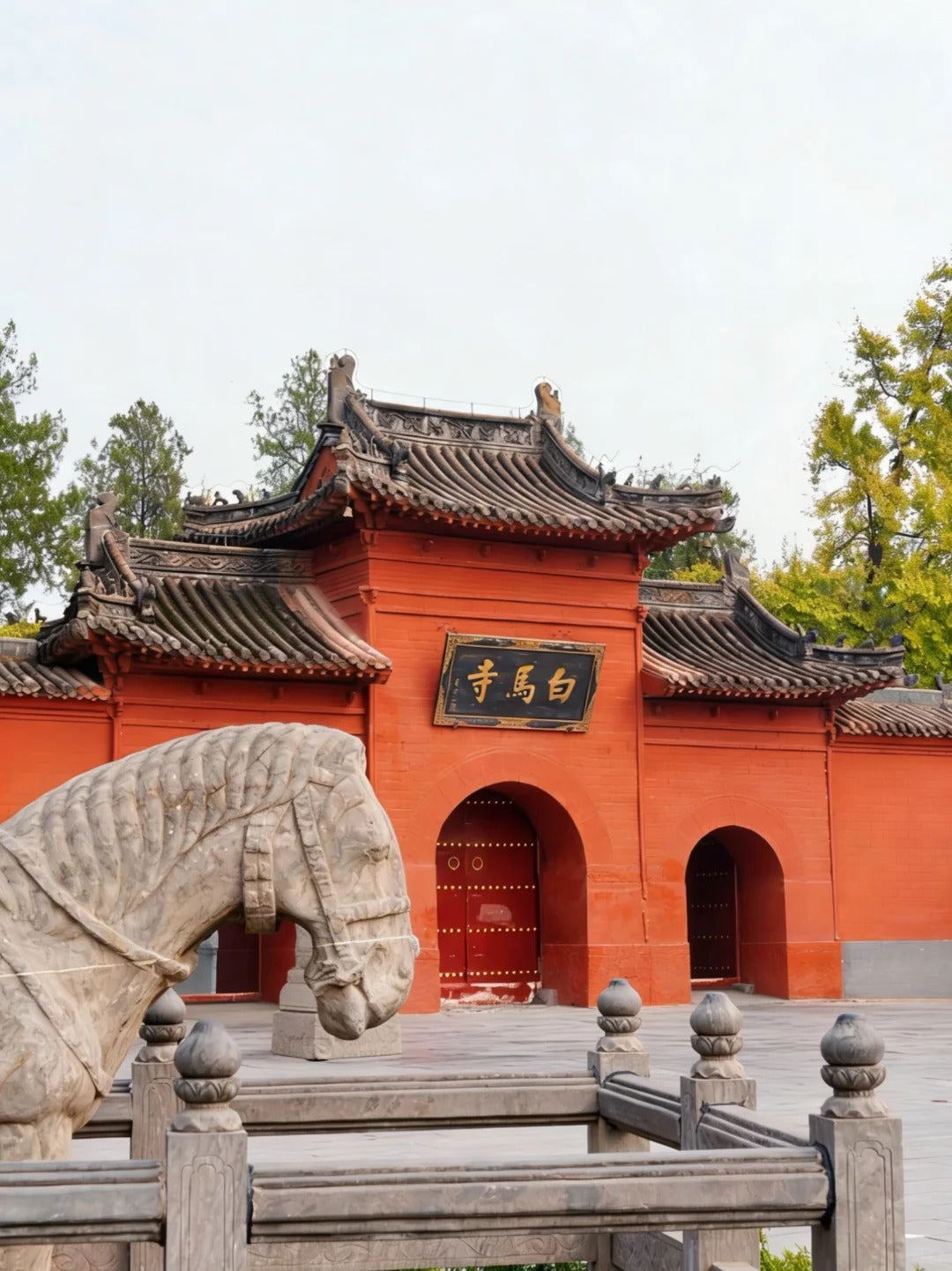 Exploring the Key to Chinese Civilization Tour｜5 Nights 6 Days – Luoyang · Kaifeng · Anyang