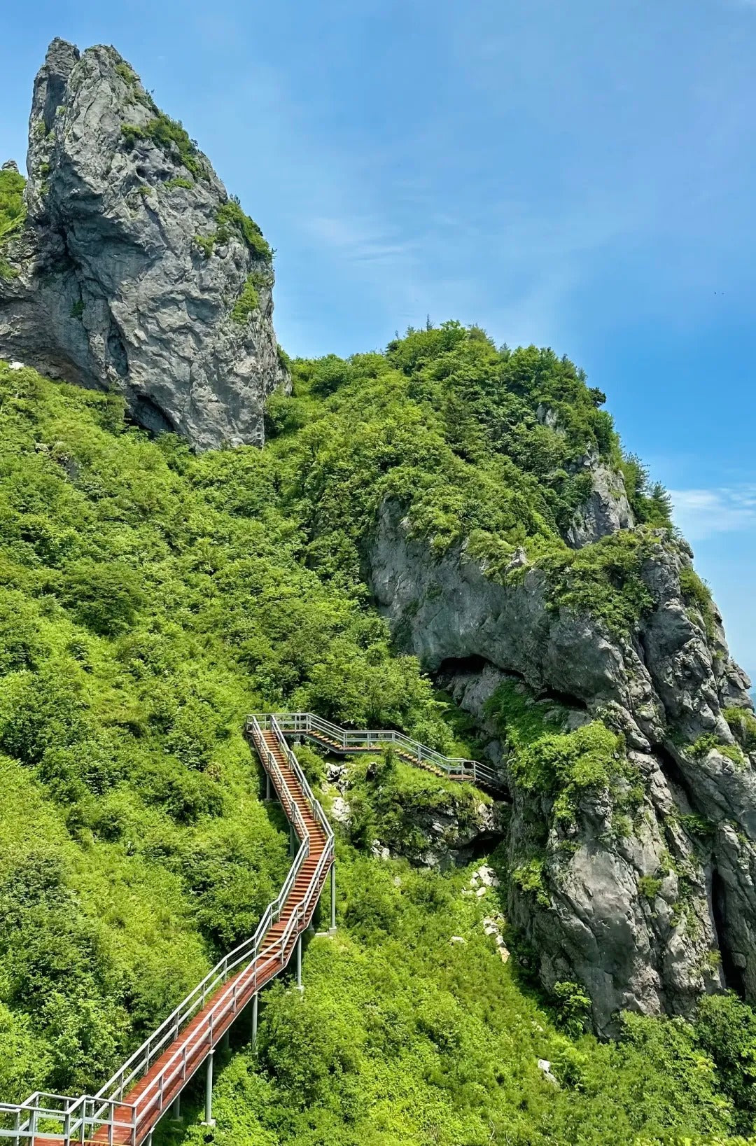 6 Days 5 Nights Hanzhong Taoist Retreat & Panda Experience – Foping · Hanzhong · Mianxian County